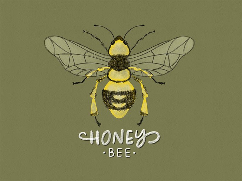 Honey Bee